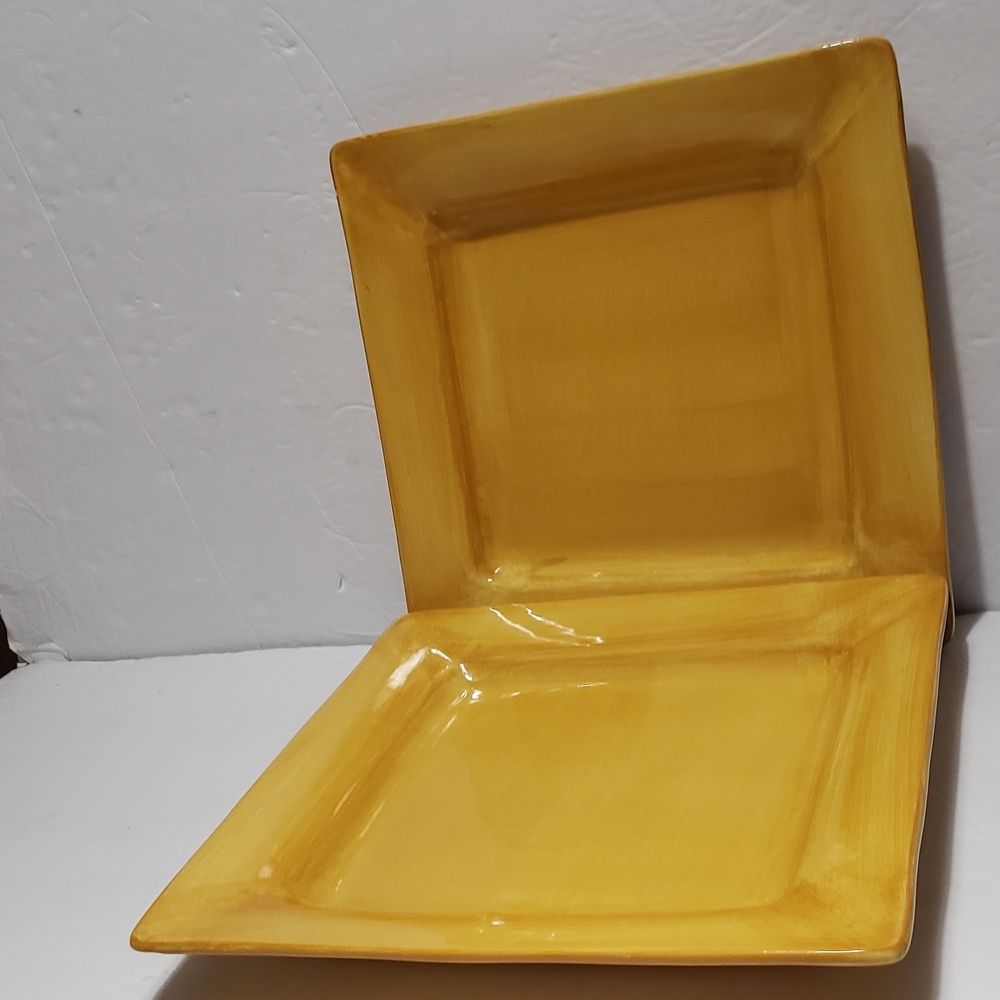 Set Of 2 PIER 1 IMPORTS *Essential Colours* Square Dinner Plates
